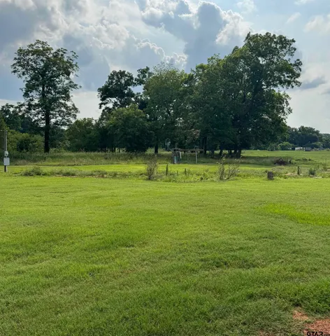 a view of a golf course with a lake