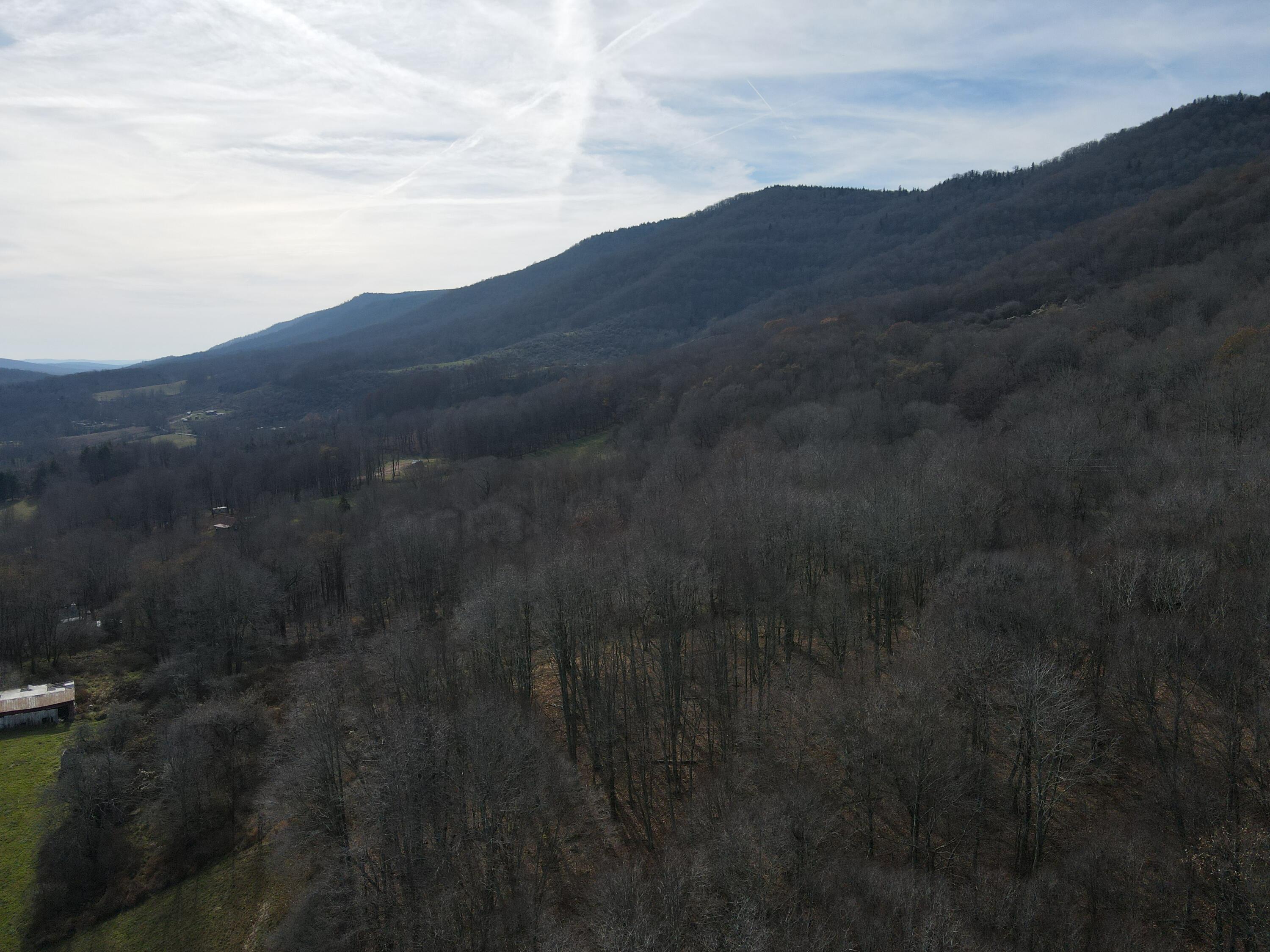 12593 Back Mountain Road Durbin, WV 26264 - Photo 8 of 84 Gallery Image 8
