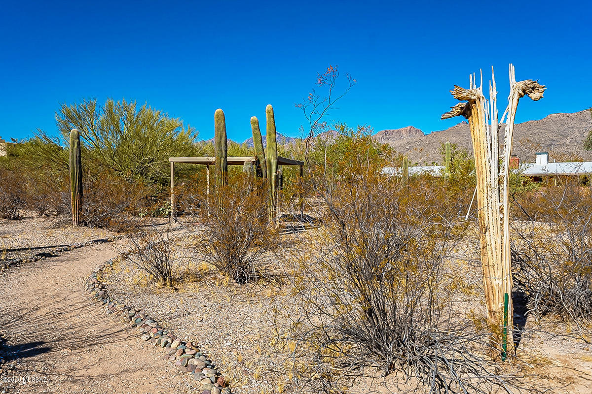 10900 East Roger Road Tucson, AZ 85749 - Photo 43 of 46 Gallery Image 43