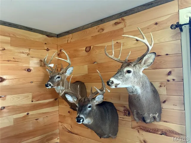 $239,000 | 11302 Pike 107, Frankford, MO 63441