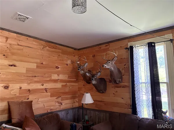 $169,000 | 11302 Pike 107, Frankford, MO 63441