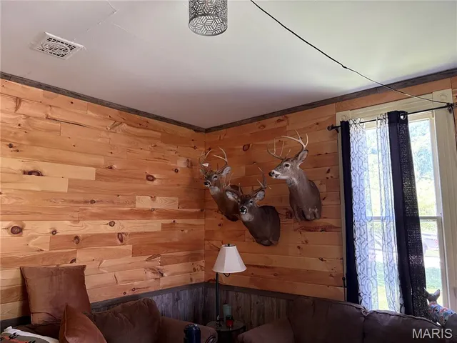 $239,000 | 11302 Pike 107, Frankford, MO 63441