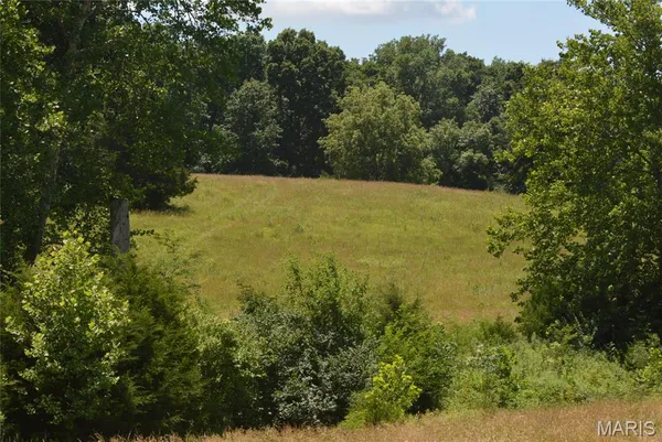 $169,000 | 11302 Pike 107, Frankford, MO 63441