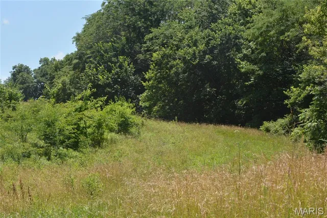 $239,000 | 11302 Pike 107, Frankford, MO 63441