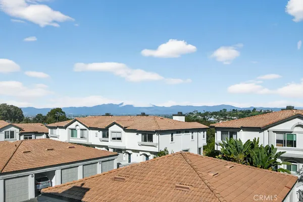 a view of house with a big yard and a large tree
