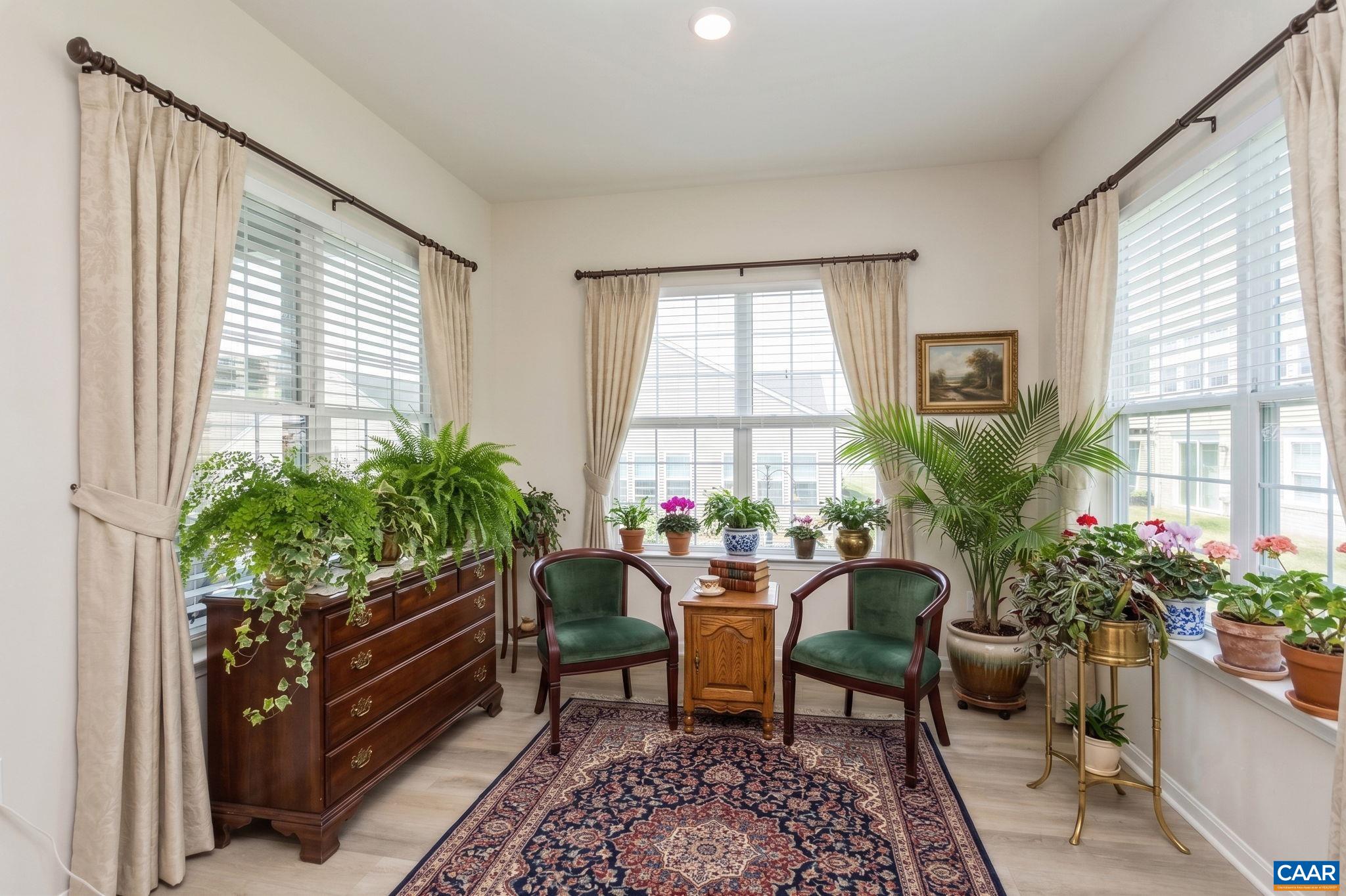 124 Stodghill Drive Ruckersville, VA 22968 - Photo 29 of 58 a living room with furniture and a potted plant