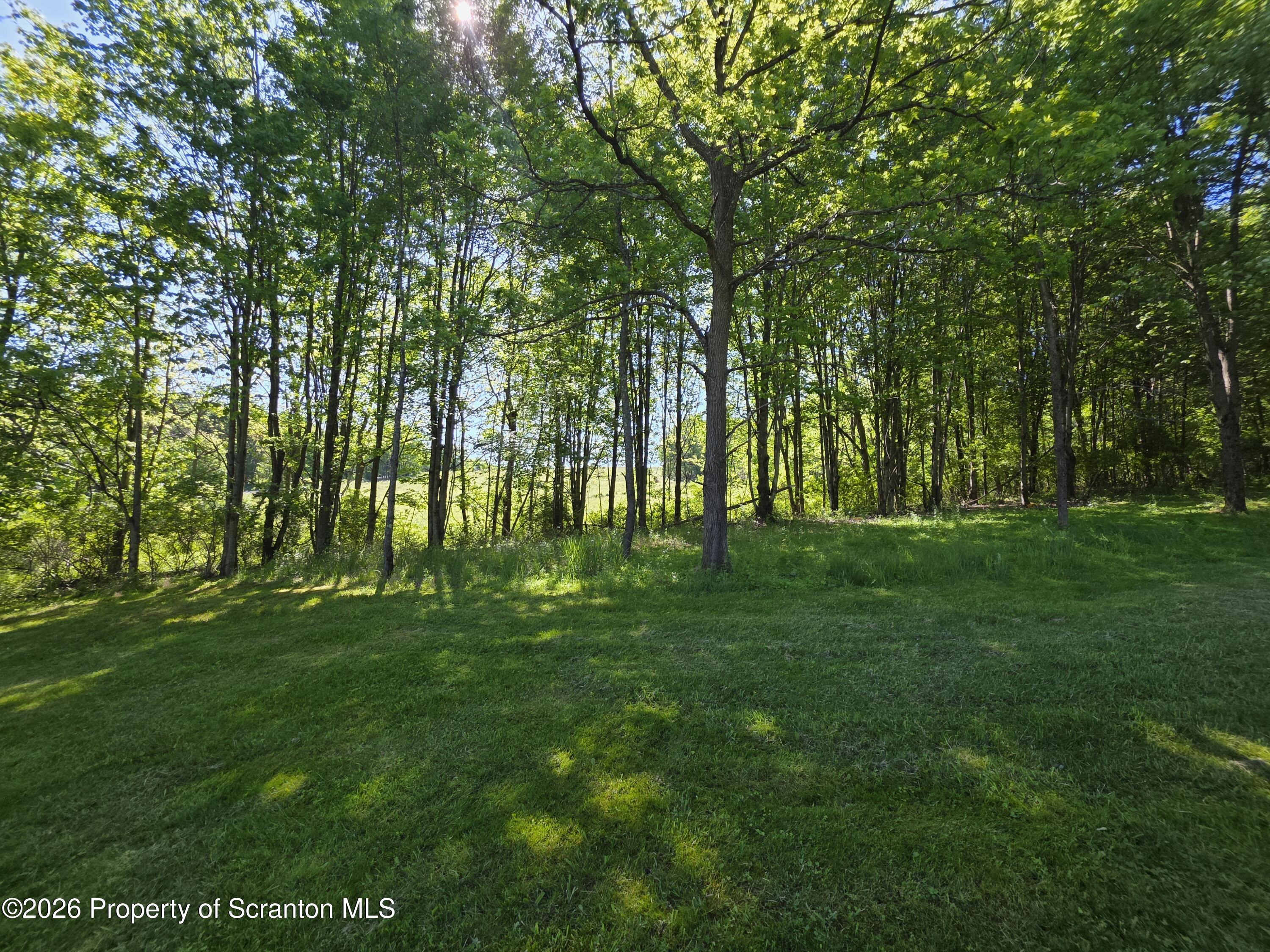 1333 Blue Berry Road Falls, PA 18615 - Photo 41 of 50 Wooded Acres