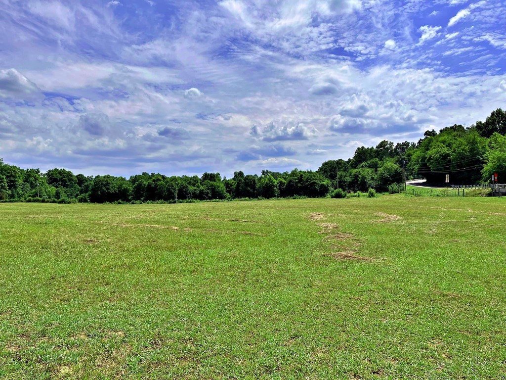 24710 State Highway North Decatur, TN 37322 - Photo 8 of 37 Gallery Image 8