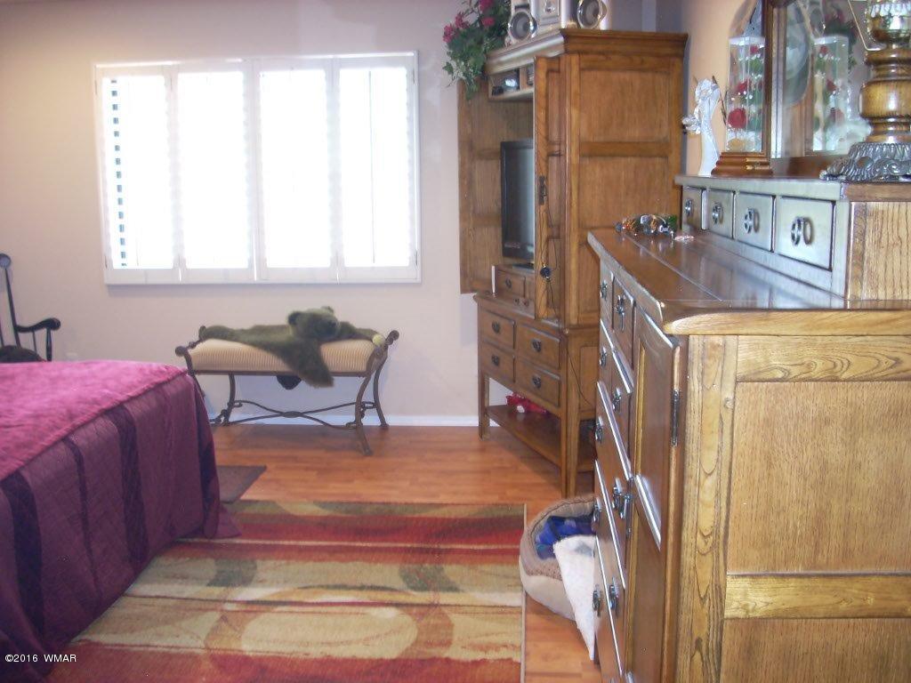 2974 Windmill Lane Overgaard, AZ 85933 - Photo 16 of 66