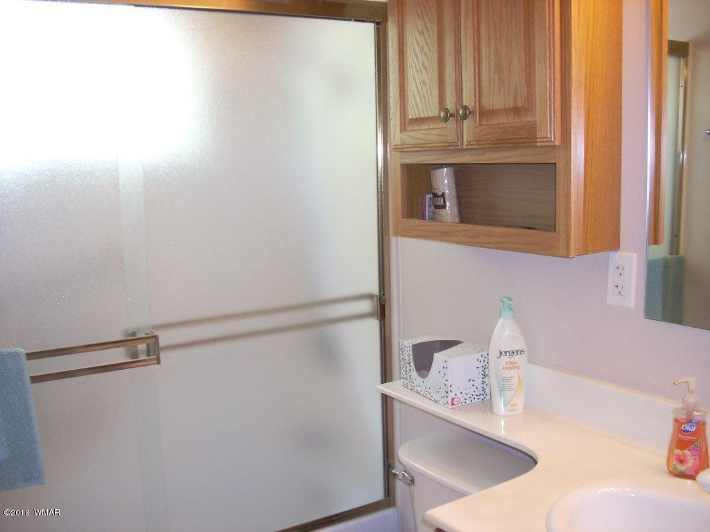 2974 Windmill Lane Overgaard, AZ 85933 - Photo 25 of 66