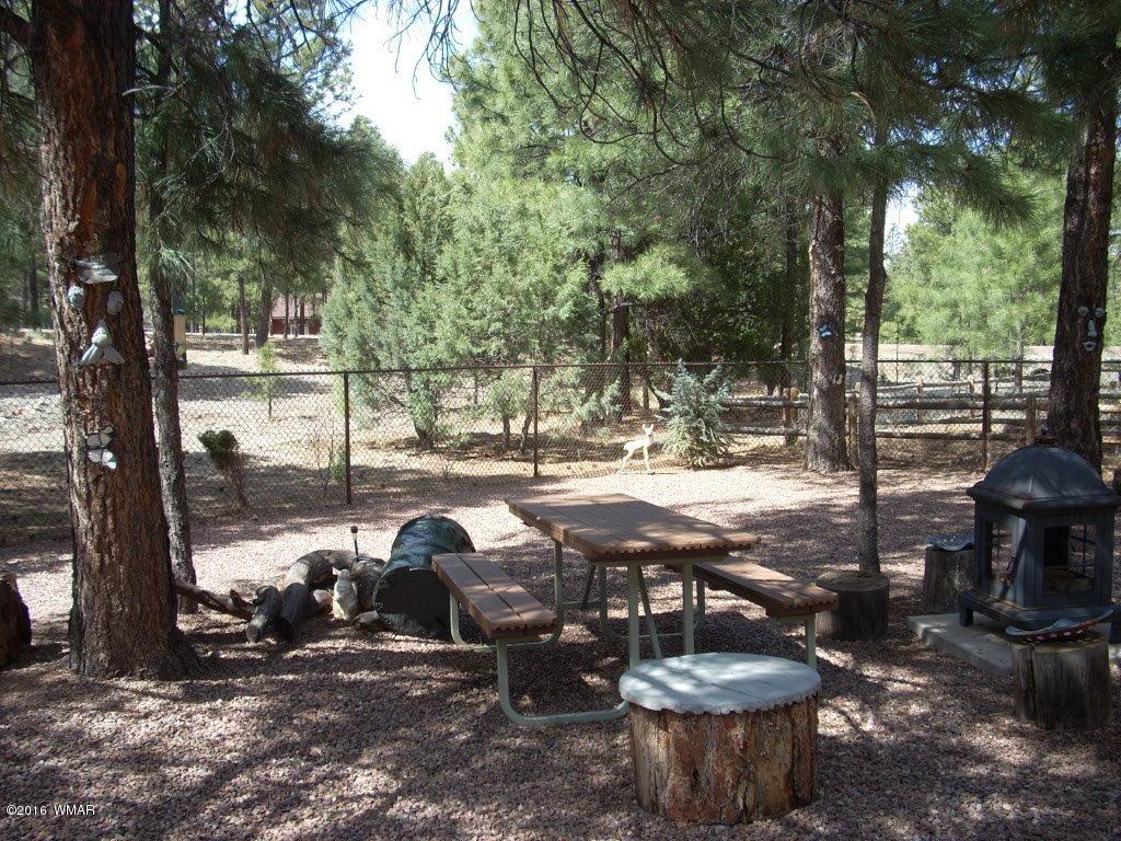 2974 Windmill Lane Overgaard, AZ 85933 - Photo 42 of 66