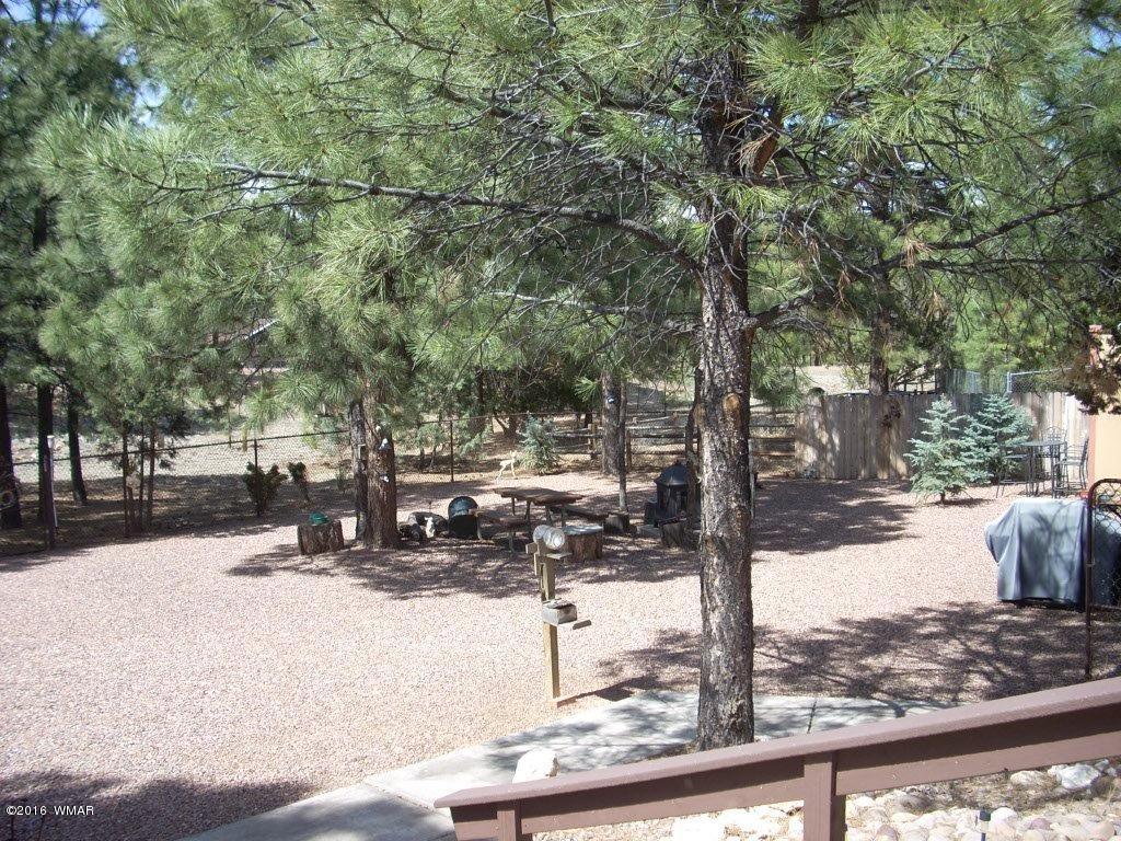 2974 Windmill Lane Overgaard, AZ 85933 - Photo 64 of 66