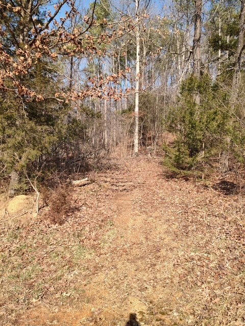 0 Banks Chapel Road Ranger, GA 30734 - Photo 3 of 15 Gallery Image 3