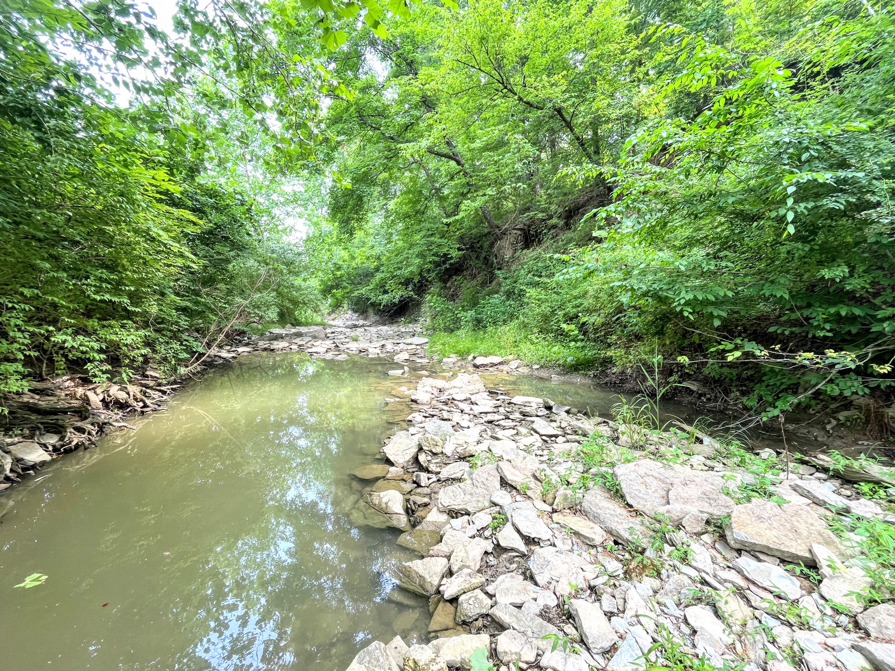 14045 Navaho Road Morning View, KY 41063 - Photo 13 of 50