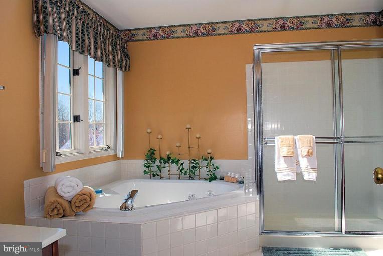 10319 Wetherburn Road Ellicott City, MD 21042 - Photo 10 of 29 Master Bath
