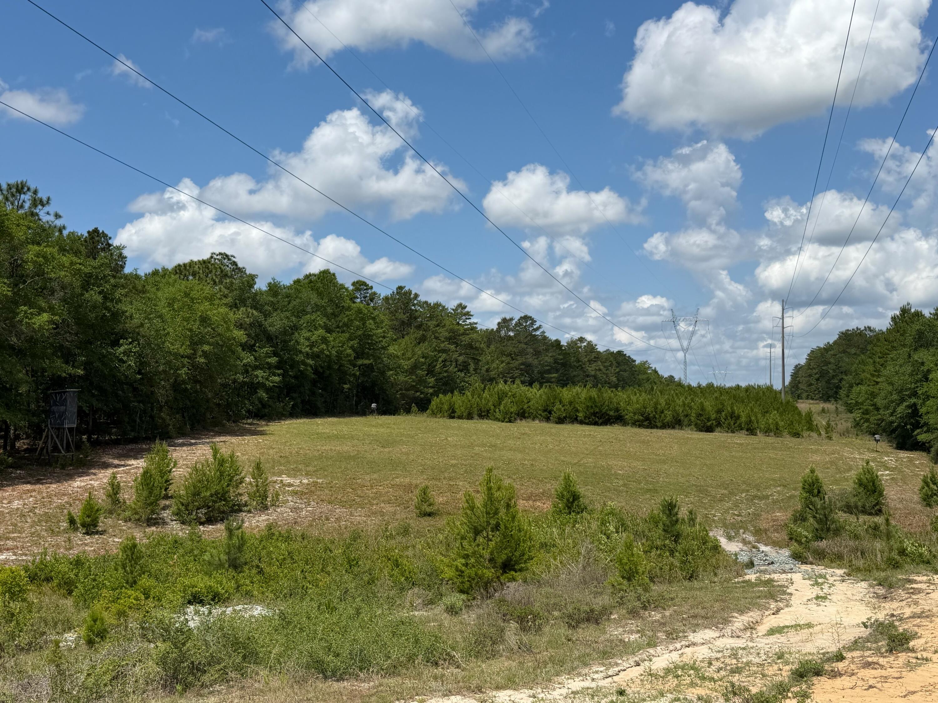 0 Laird Road Crestview, FL 32539 - Photo 2 of 59 IMG_0673