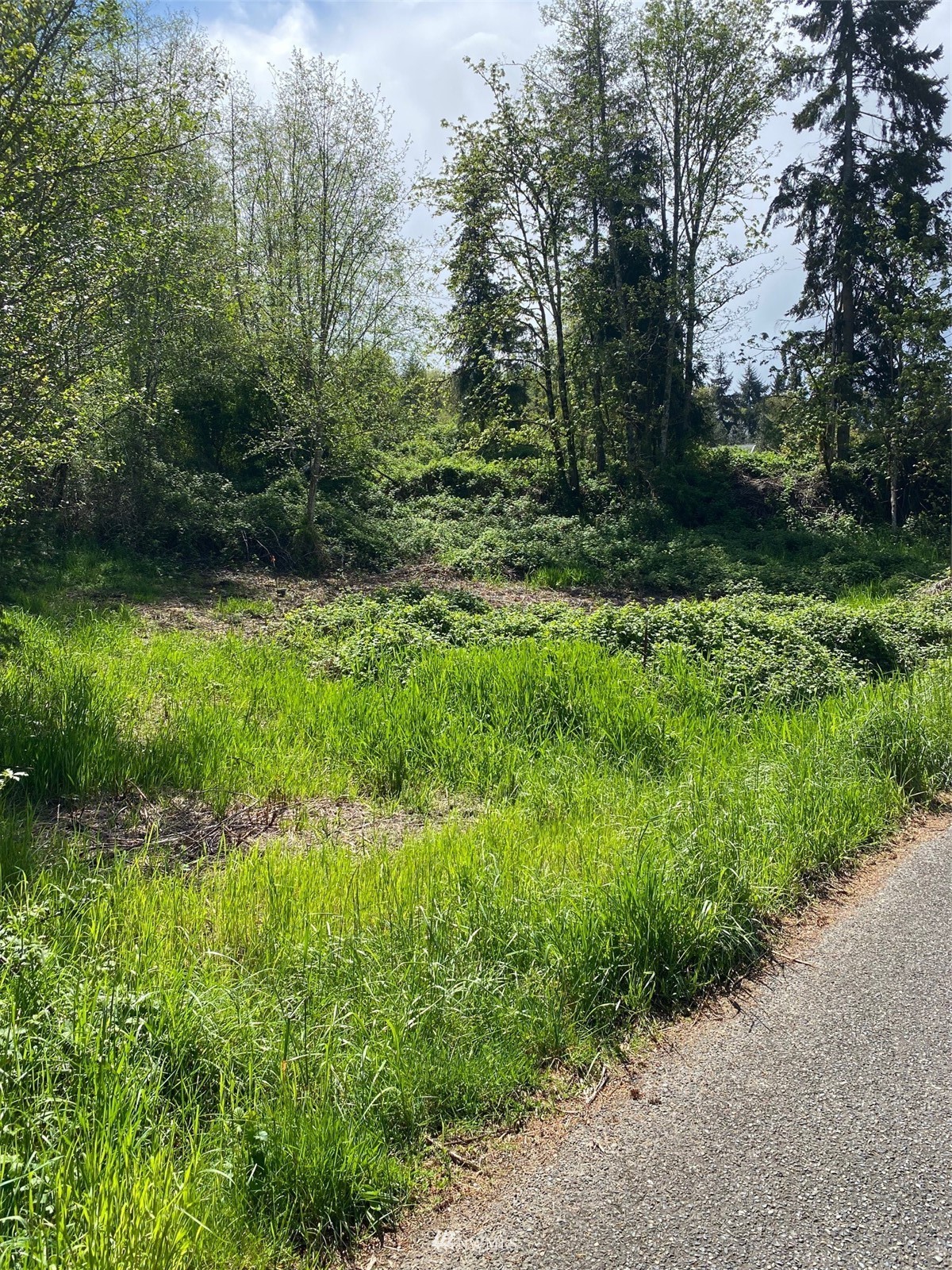 21614 Zenkner Valley Road Centralia, WA 98531 - Photo 2 of 6 a view of outdoor space and yard