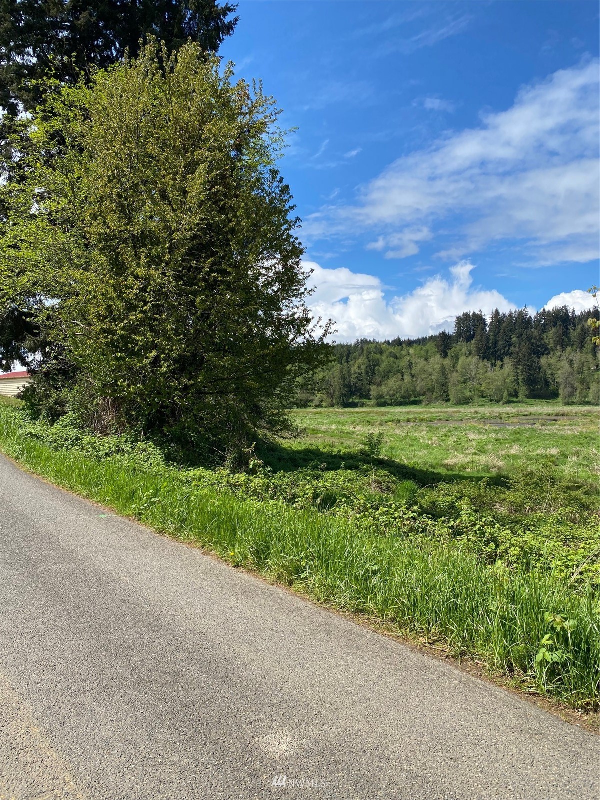 21614 Zenkner Valley Road Centralia, WA 98531 - Photo 5 of 6 a view of a grassy field with trees