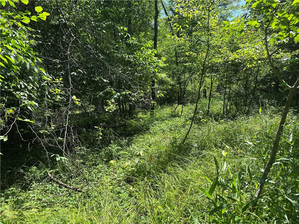 0 Cooperstown Road Cooperstown, PA 16317 - Photo 20 of 23