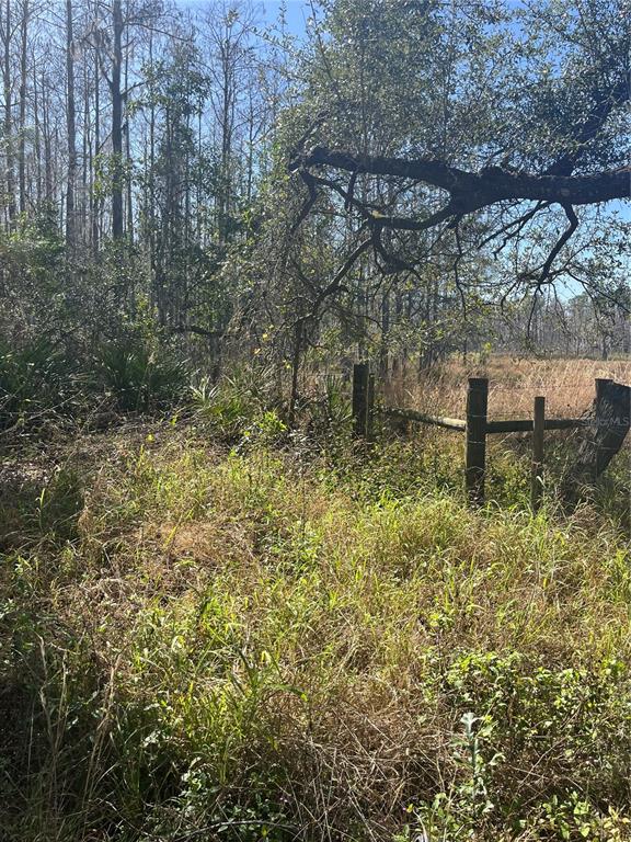 Mt Pleasant Road Groveland, FL 34736 - Photo 14 of 15