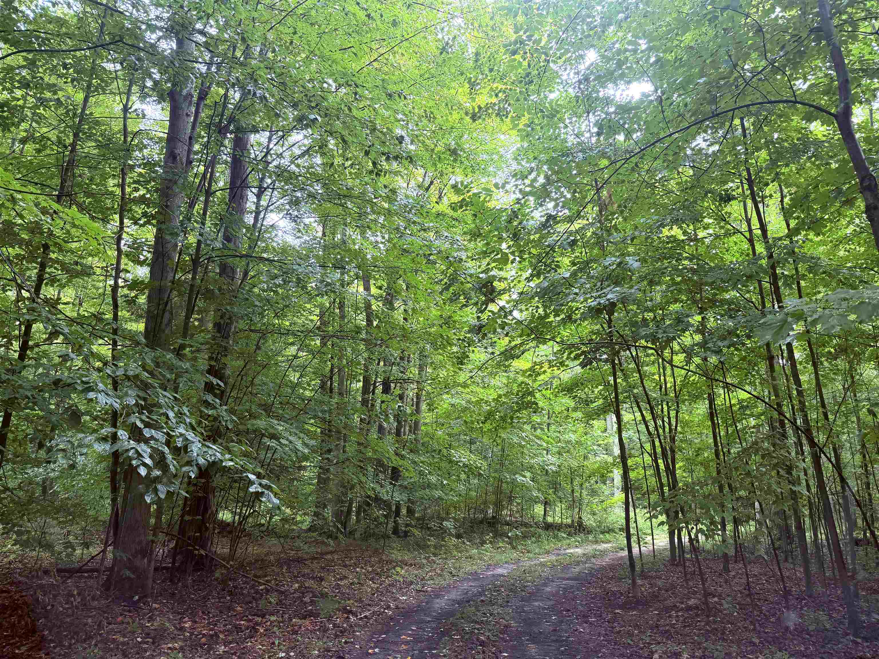 Demerly Road Benzonia, MI 49616 - Photo 2 of 4 1949861-8d97db78-5f18-4694-b4c5-58a80e6f356c.JPG
