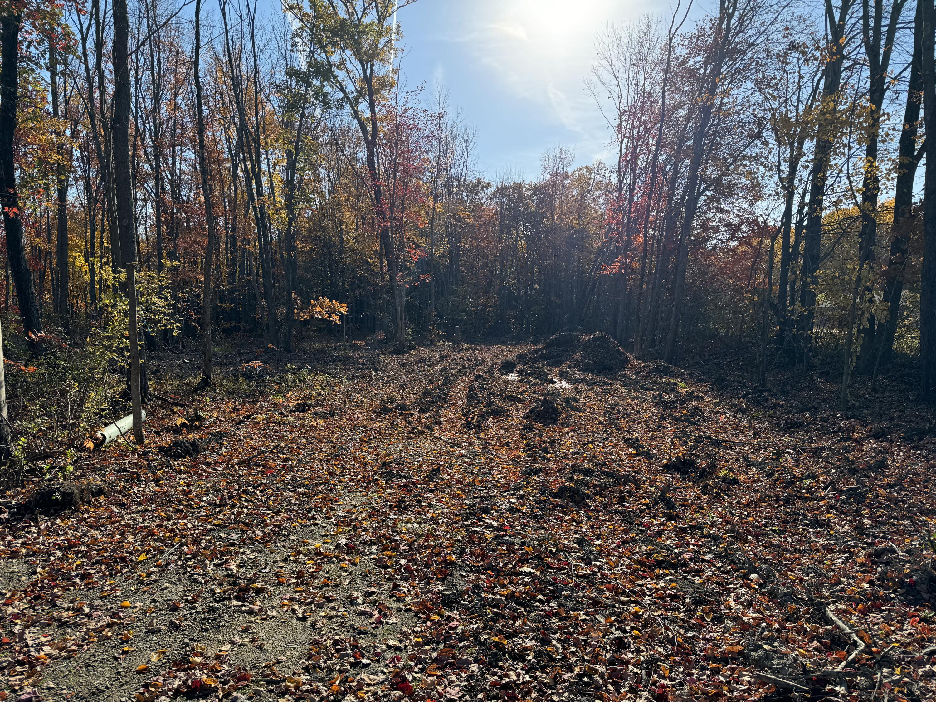 Lot# A & B Lot Road Biddeford, ME 04005 - Photo 3 of 5 3