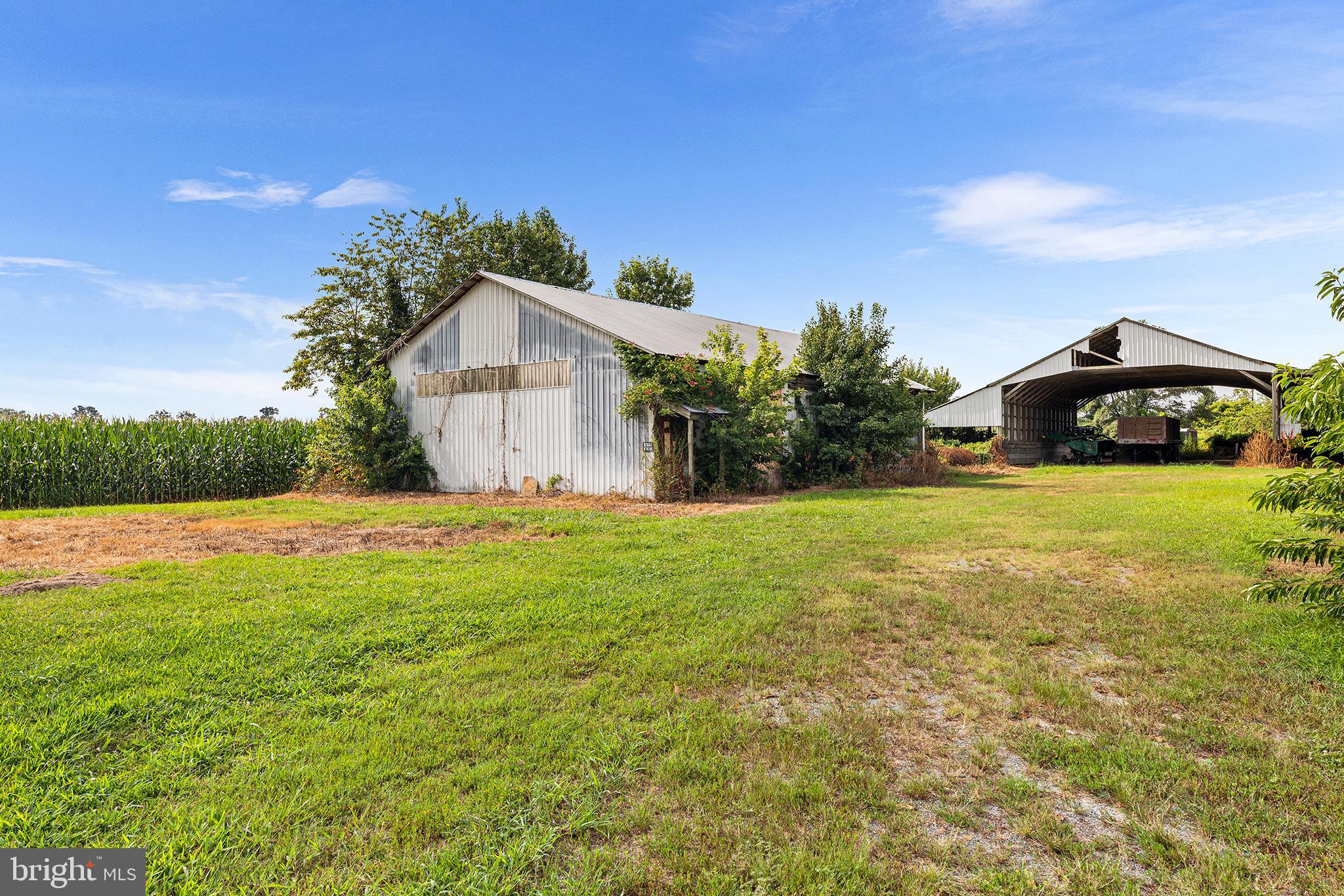 25699 Auction Road Federalsburg, MD 21632 - Photo 14 of 71