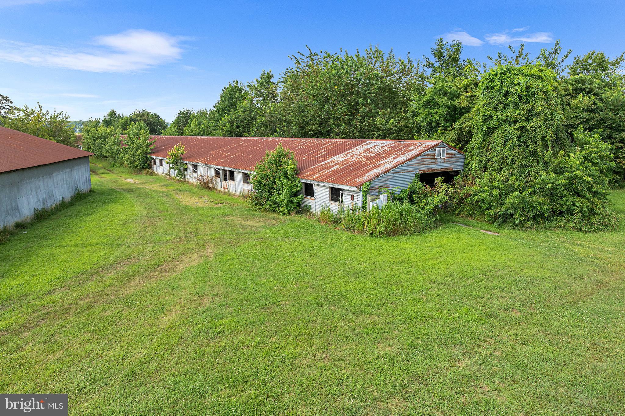 25699 Auction Road Federalsburg, MD 21632 - Photo 17 of 71