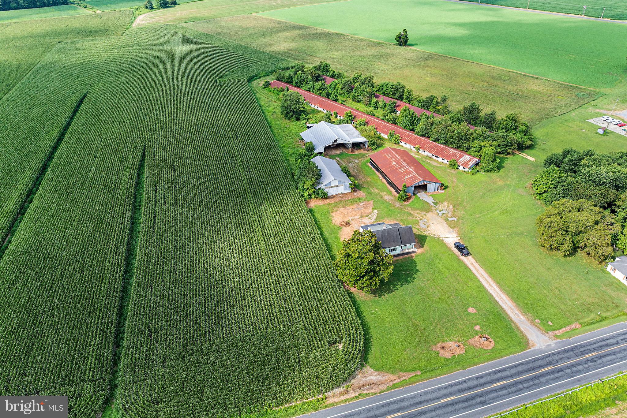 25699 Auction Road Federalsburg, MD 21632 - Photo 2 of 71