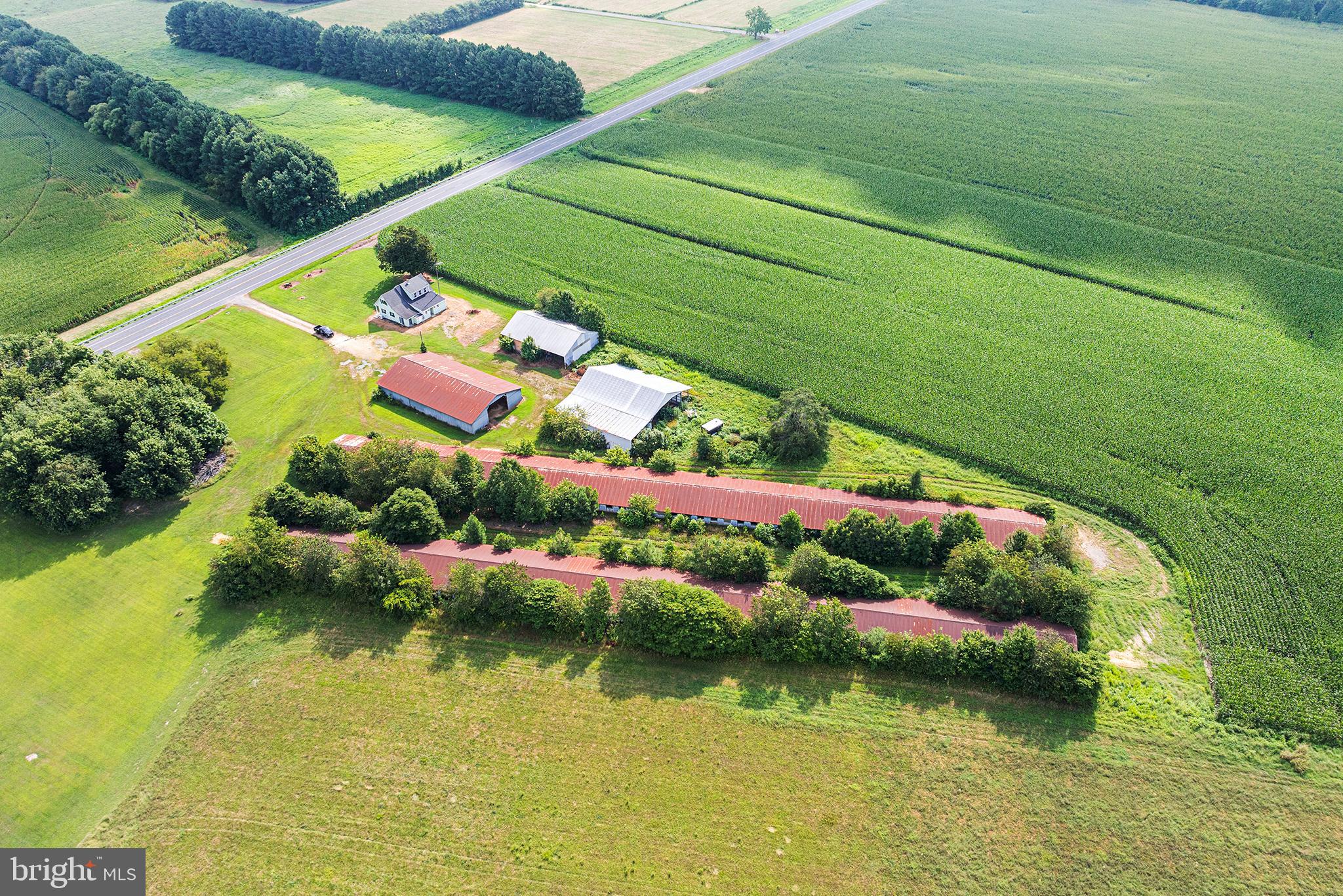 25699 Auction Road Federalsburg, MD 21632 - Photo 3 of 71