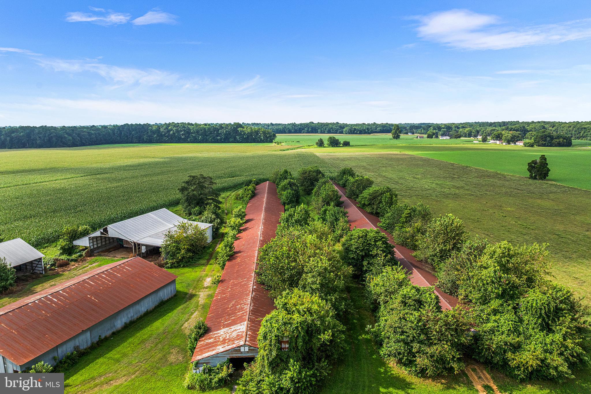 25699 Auction Road Federalsburg, MD 21632 - Photo 4 of 71