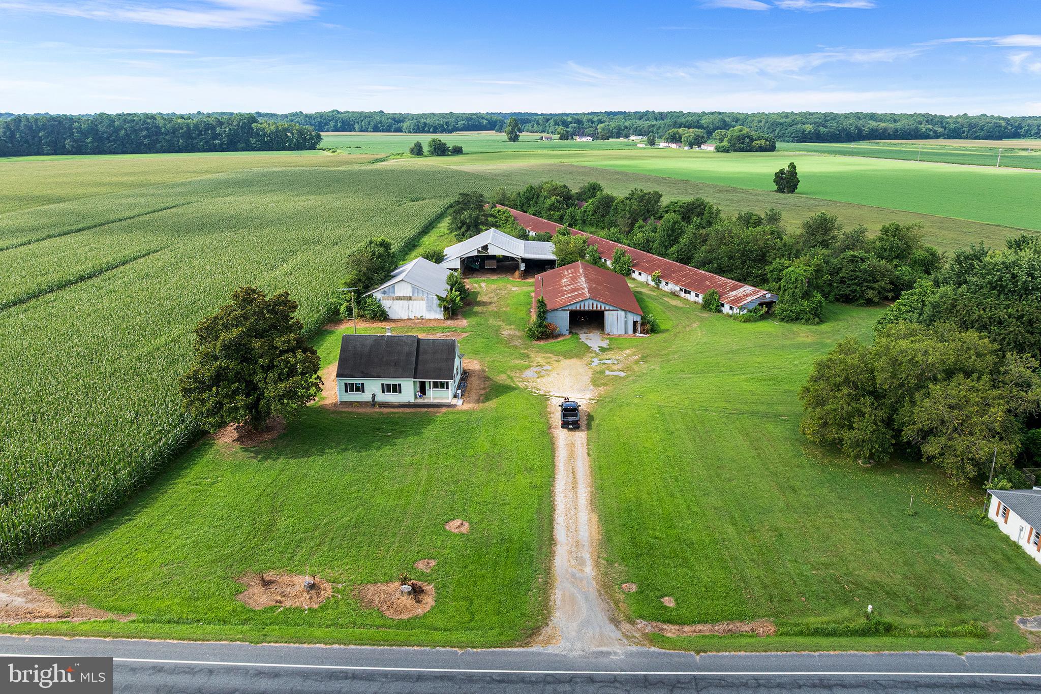 25699 Auction Road Federalsburg, MD 21632 - Photo 59 of 71