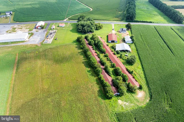 $500,000 | 25699 Auction Road, Federalsburg, MD 21632