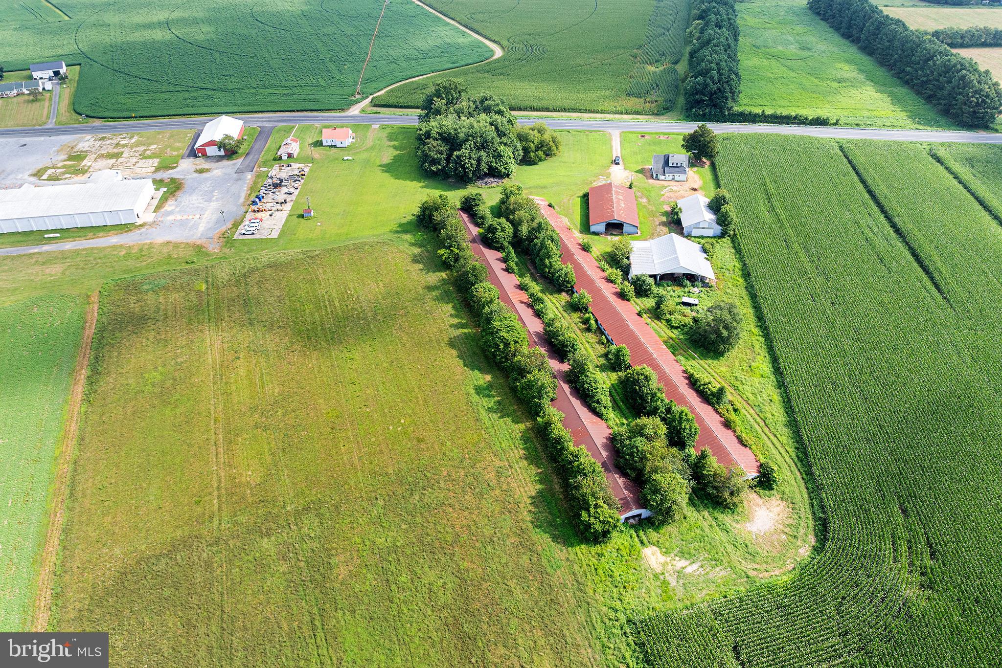 25699 Auction Road Federalsburg, MD 21632 - Photo 60 of 71