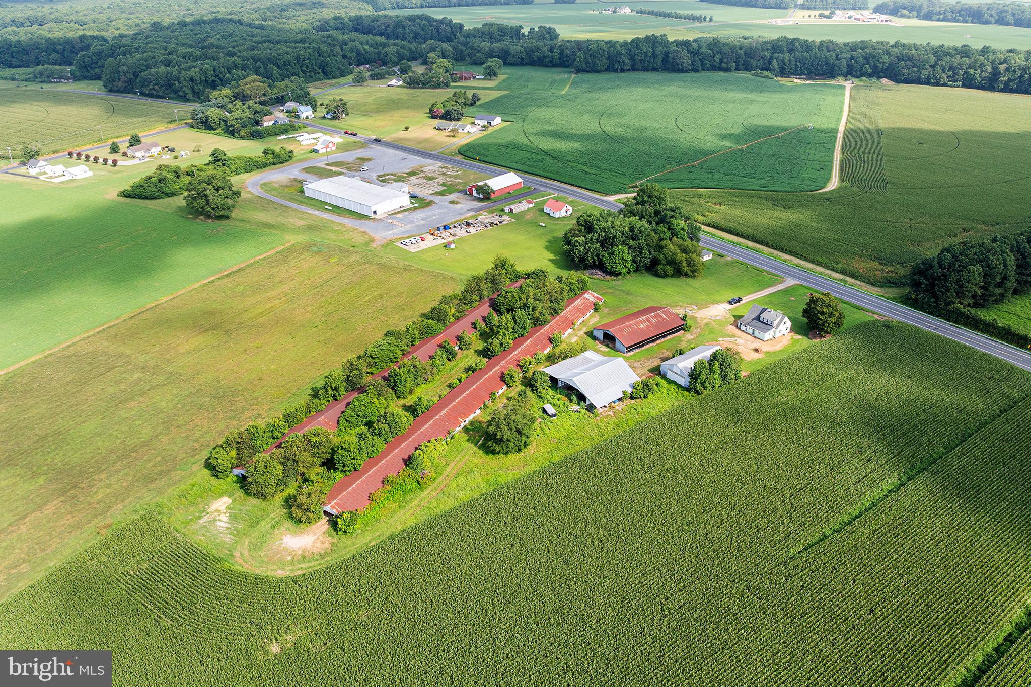 25699 Auction Road Federalsburg, MD 21632 - Photo 61 of 71