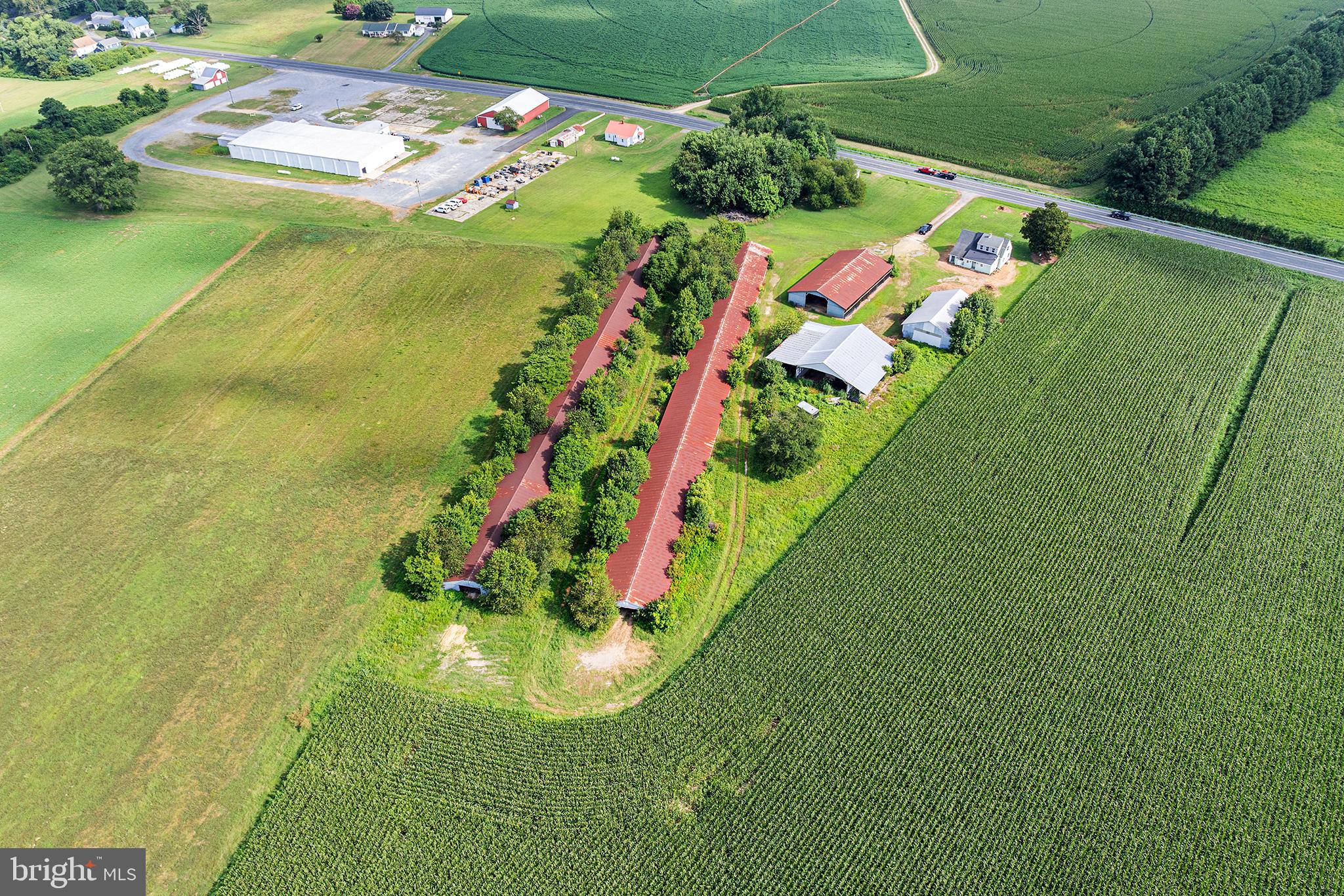 25699 Auction Road Federalsburg, MD 21632 - Photo 65 of 71