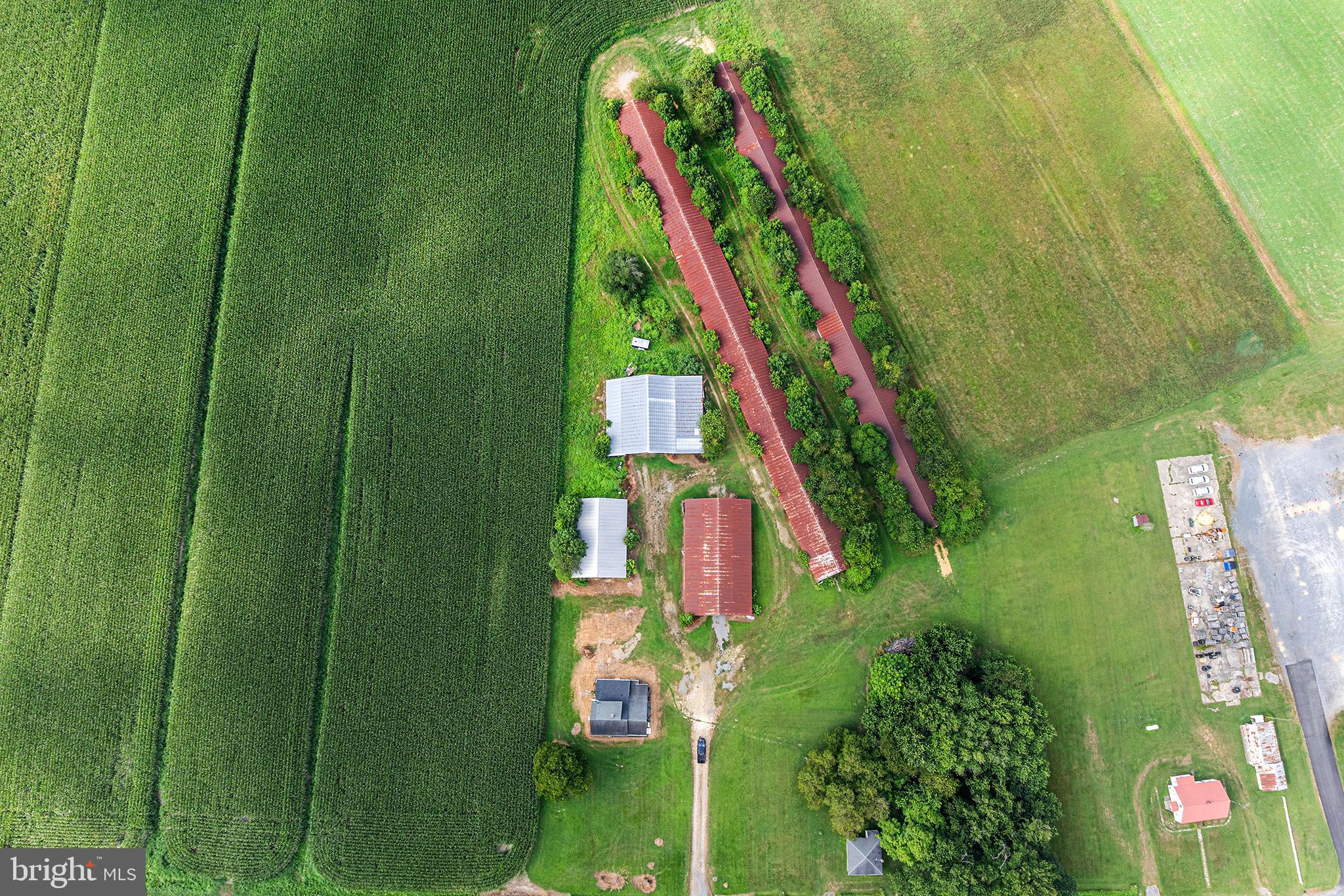 25699 Auction Road Federalsburg, MD 21632 - Photo 70 of 71