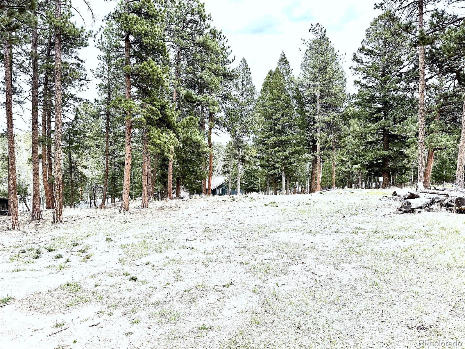 a view of a yard covered in snow