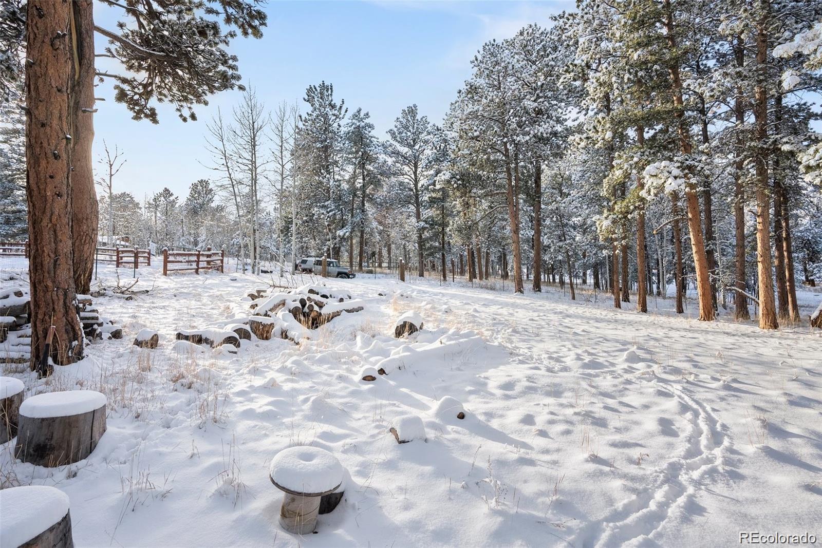 252 Beaver Trail Bailey, CO 80421 - Photo 5 of 6 a view of outdoor space with trees