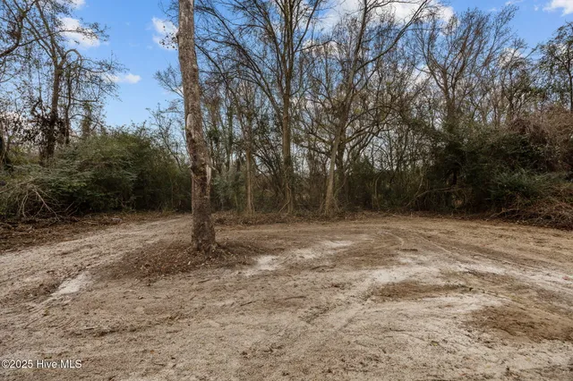 $215,000 | 402 West Moore Street, Greenville, NC 27834