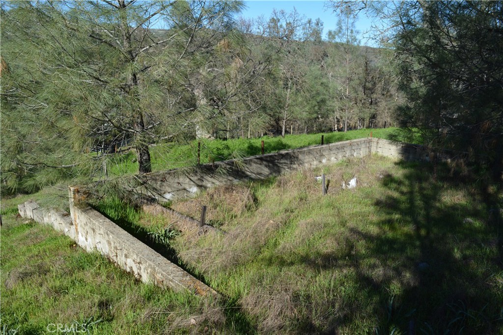2777 River View Road Clearlake Oaks, CA 95423 - Photo 11 of 19 a view of a forest with a yard