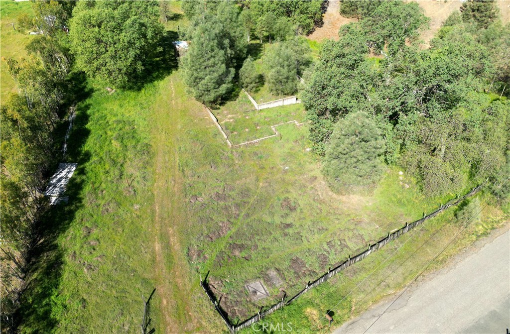2777 River View Road Clearlake Oaks, CA 95423 - Photo 2 of 19 a view of a yard with plants and large trees