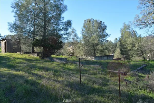 a view of a grassy field with trees