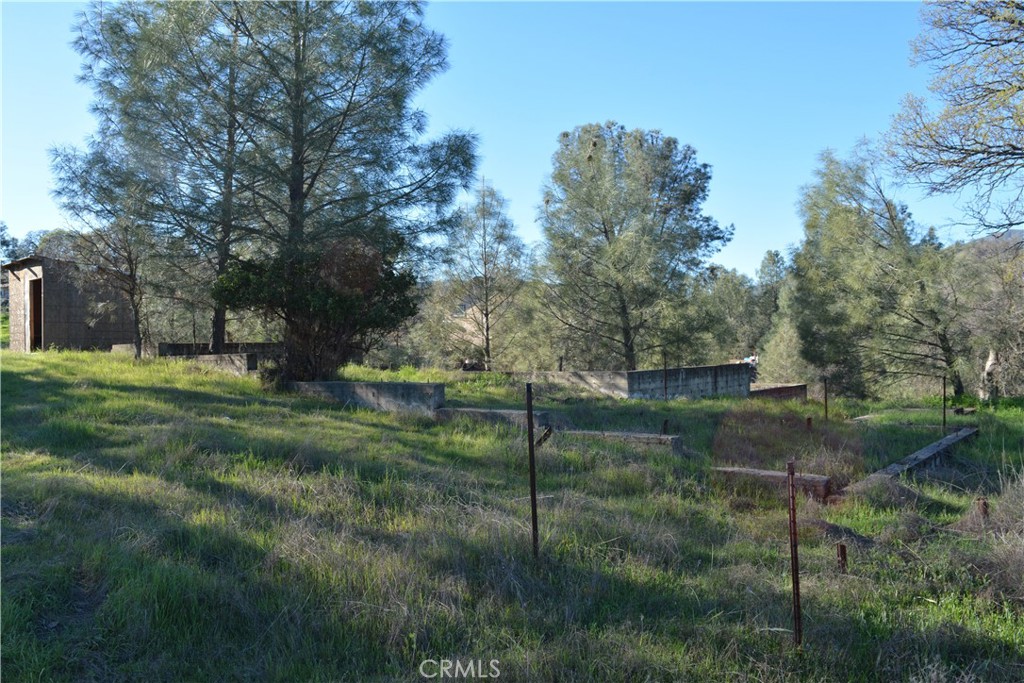 2777 River View Road Clearlake Oaks, CA 95423 - Photo 5 of 19 a view of a grassy field with trees