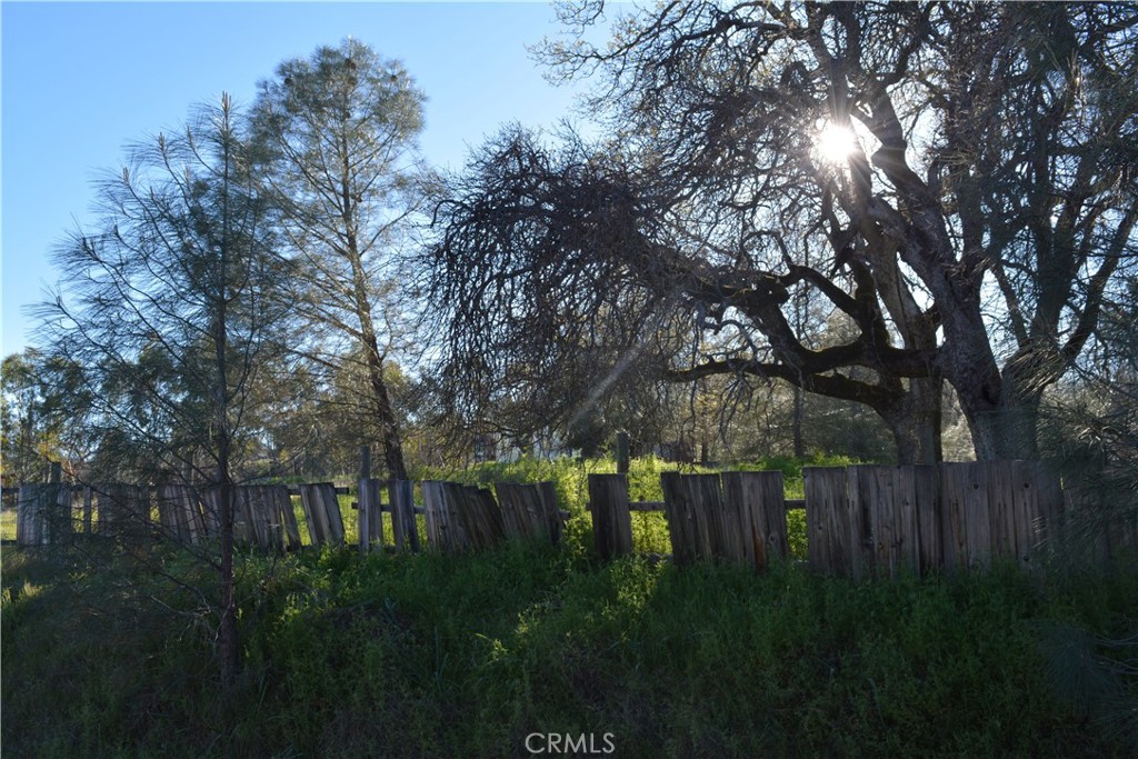2777 River View Road Clearlake Oaks, CA 95423 - Photo 6 of 19 a backyard of a house with lots of green space