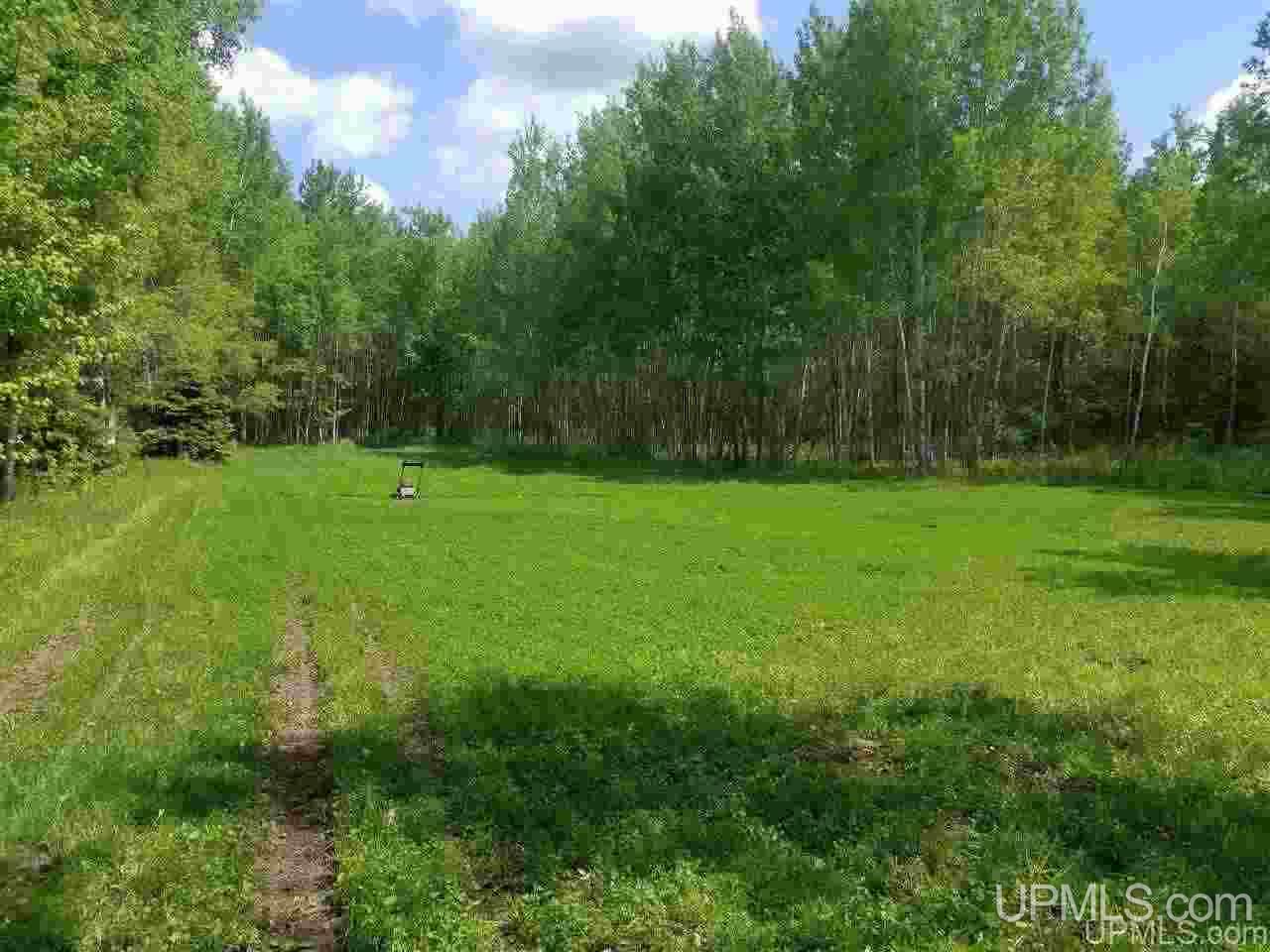 40-ac Parks Farm Road Iron River, MI 49935 - Photo 7 of 20