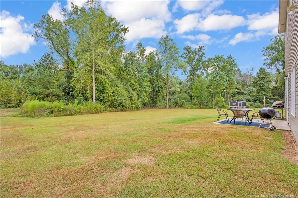 5518 Tolarsville Road St. Pauls, NC 28384 - Photo 34 of 40 Photo 34