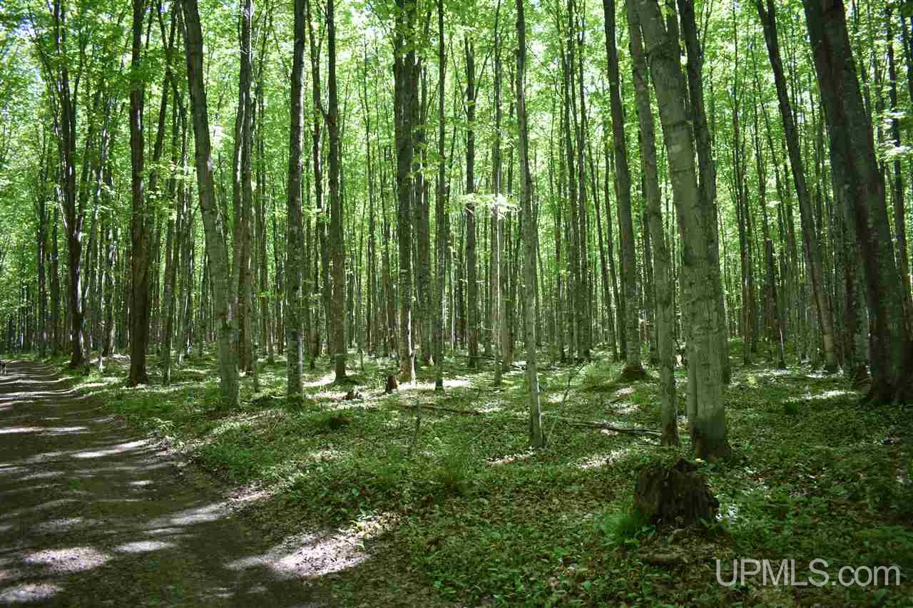 24-acres Co Rd Kb Big Bay, MI 49808 - Photo 25 of 50