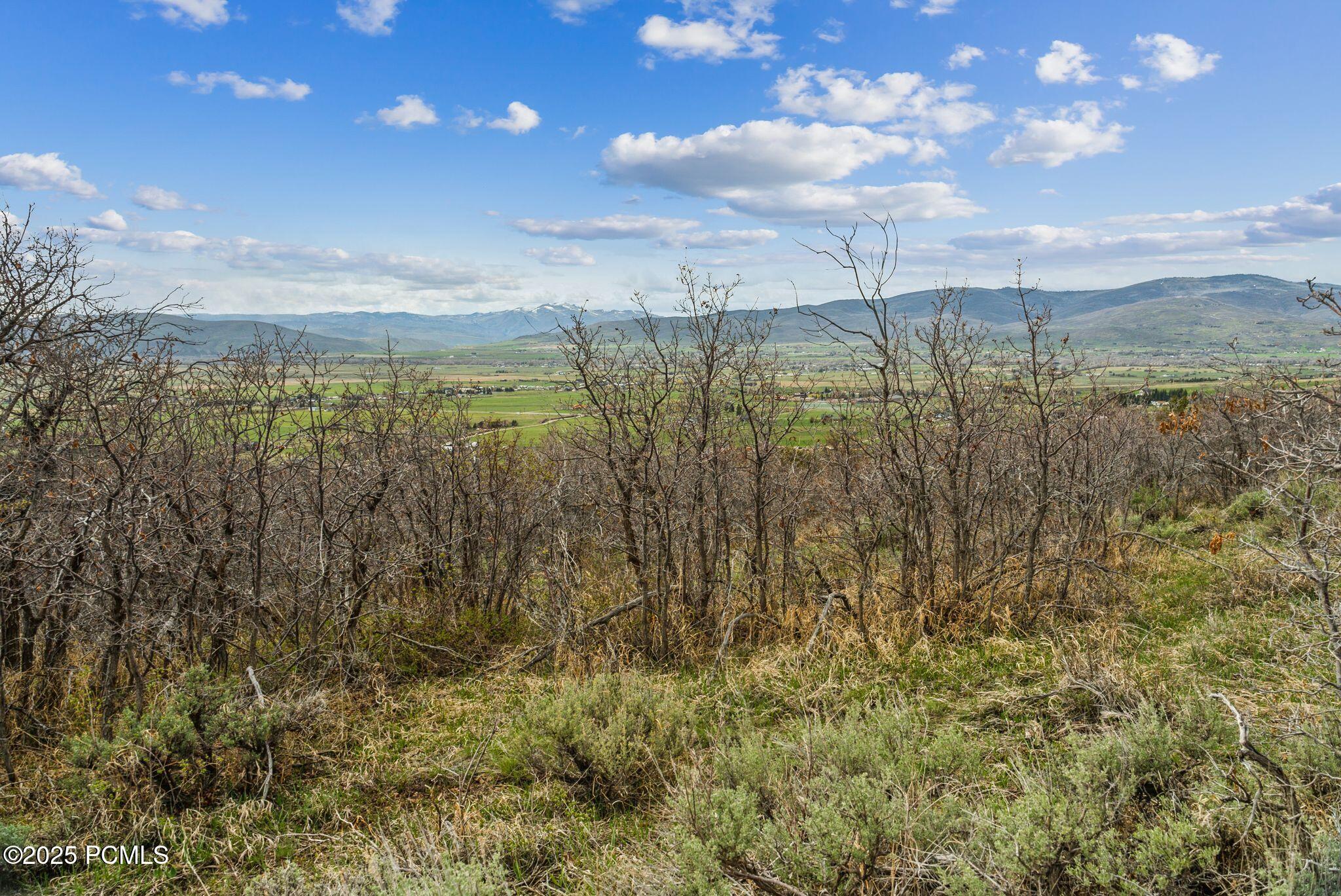 1081 Splendor Valley Road Kamas, UT 84036 - Photo 21 of 33