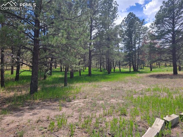 245 Hidden Valley Road Colorado Springs, CO 80919 - Photo 4 of 9